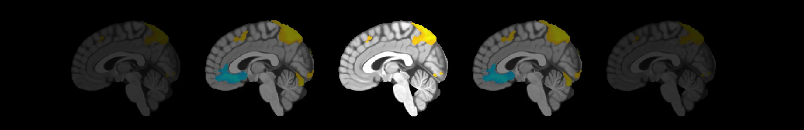 The Science
Behind Lumosity