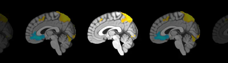 The Science
Behind Lumosity